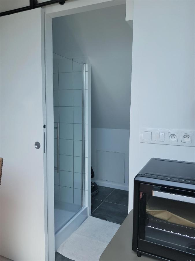 Au Gre De L'Ill "Les Toits D'Horbourg" Apartment Exterior foto