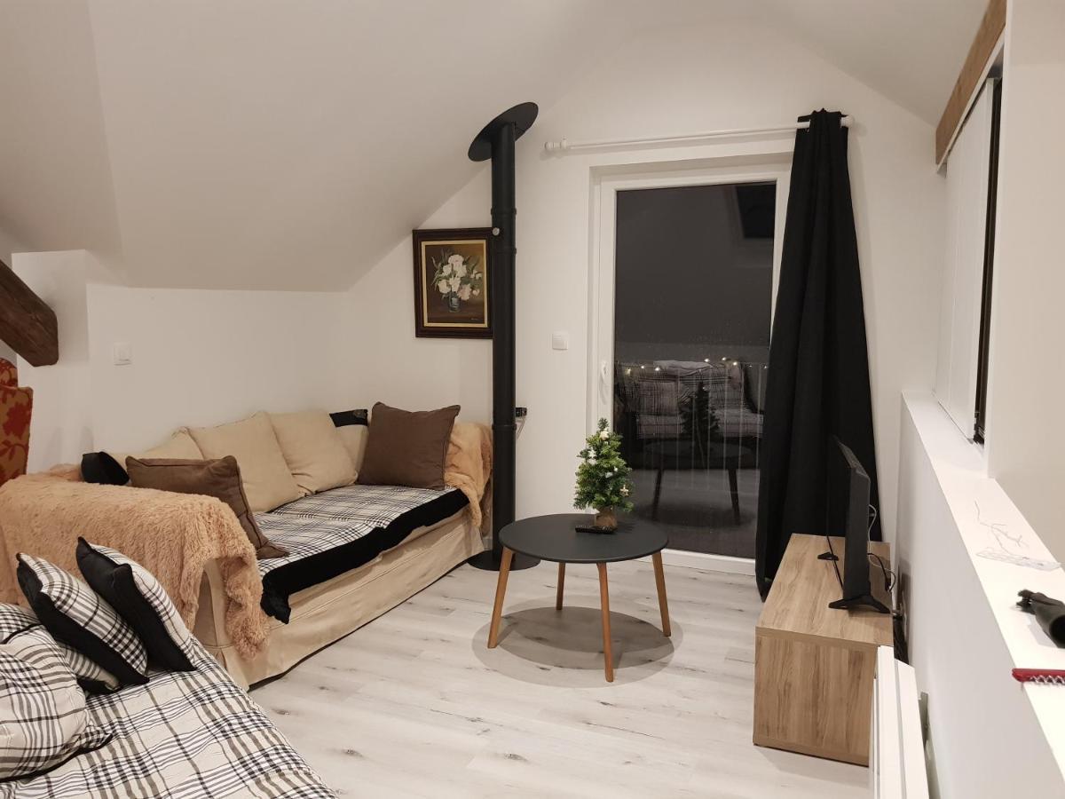 Au Gre De L'Ill "Les Toits D'Horbourg" Apartment Exterior foto